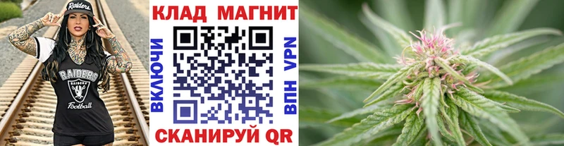 Галлюциногенные грибы Сертолово