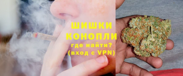дурь Арсеньев