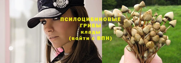 кокаин премиум Аркадак